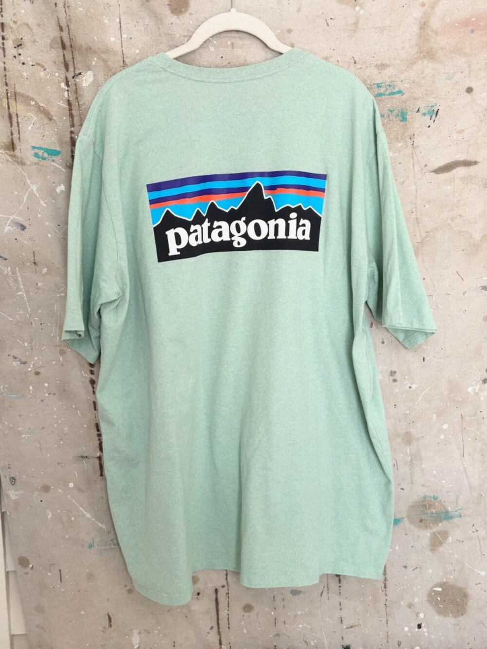 Patagonia Short Sleeve Tee in Mint with Multicolor Logo